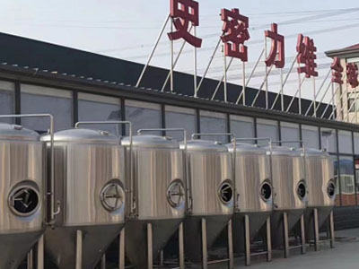 南昌精酿啤酒设备厂—市场规模与跨界新需求